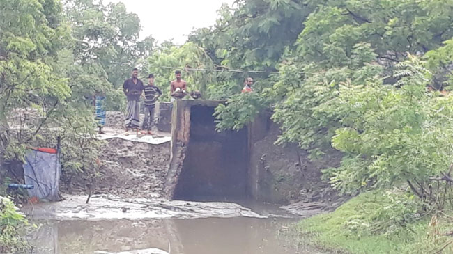 খালে বাঁধ দিয়ে মাছ চাষ