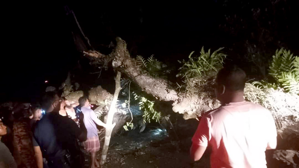 চলন্ত বাসের ওপর ভেঙে পড়ল গাছের ডাল, ছাদে থাকা ২ যাত্রী নিহত