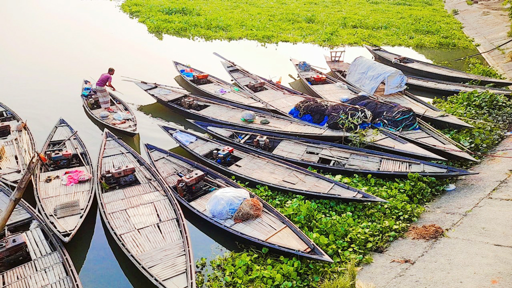 বৃষ্টি ও বন্যার পানিতে খাল-বিল, নদী-নালা টইটম্বুর। মাছও ধরা পড়ছে ভালো। মাছ শিকারের পর সারবেঁধে বিলের ধারে নৌকা বেঁধে রেখেছেন তারা। চাটমোহর উপজেলার হান্ডিয়াল ইউনিয়নের পাকপাড়া বিল থেকে তোলা, পাবনা, ১৯ অক্টোবর ২০২৪। ছবি: শুভাশীষ ভট্টাচার্য্য তুষার