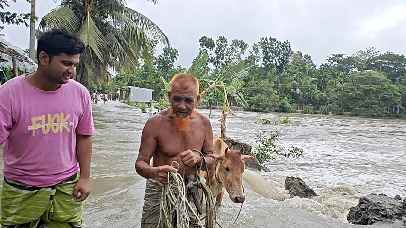 পানিবন্দী মানুষ গবাদিপশু নিরাপদ আশ্রয়কেন্দ্রে নিয়ে যাচ্ছেন। চরমানিকা ইউনিয়ন, চরফ্যাশন, ভোলা, ২৫ মে ২০২৪। ছবি: আজকের পত্রিকা