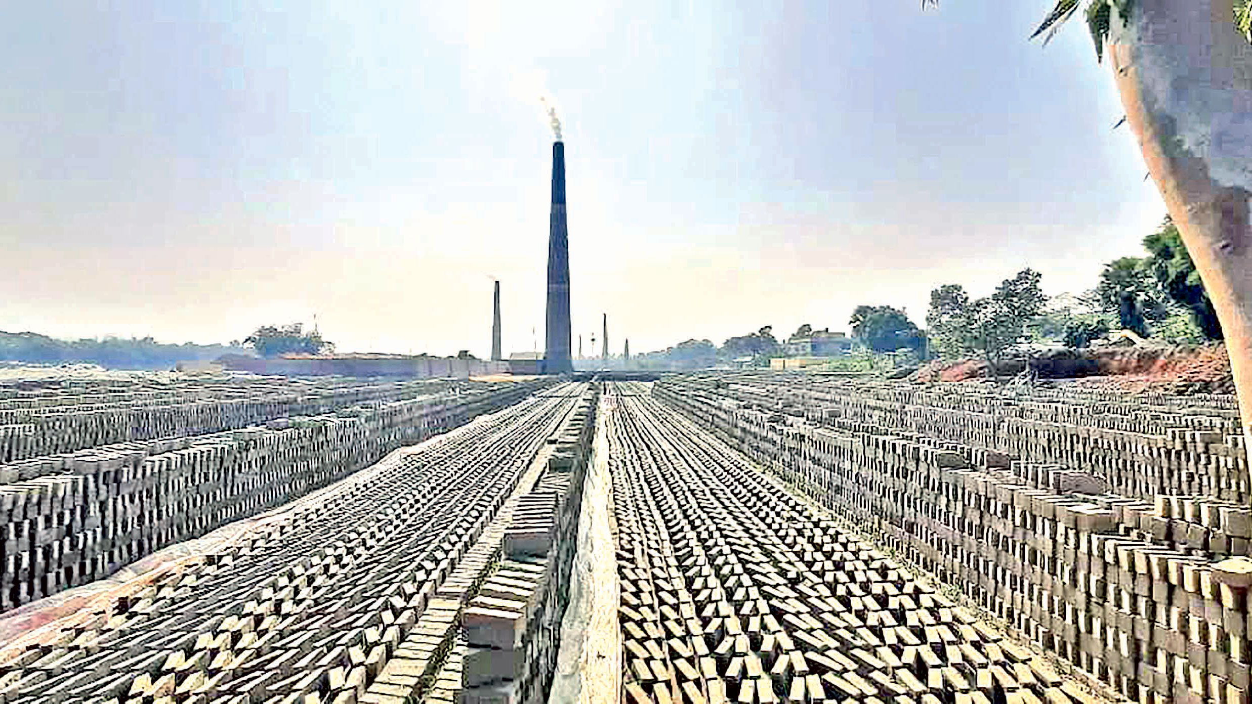 জেনেশুনেই আইন ভাঙছেন মালিকেরা