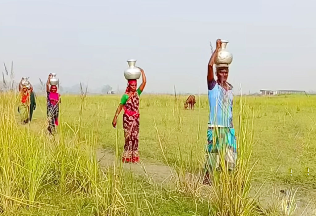 প্রতিদিন সকালে বাজারে সকাল ৮টা থেকে ৯টা পর্যন্ত এক ঘণ্টার জন্য বসে দুধের বাজার। সাধারণত ধলেশ্বরী নদী চরের নারী-পুরুষেরাই বিক্রেতা। রাত ও সকালে দুই বার গরুর দুধ দুইয়ে তা মাথায় কলসি করে নিয়ে আসেন তাঁরা। এই সময়ের মধ্যেই ২০০ থেকে ২৫০ মণ দুধ বিক্রি হয়। সাটুরিয়া উপজেলার গোপালপুর গ্রাম, মানিকগঞ্জ, ৩০ নভেম্বর ২০২৪। ছবি: আব্দুর রাজ্জাক