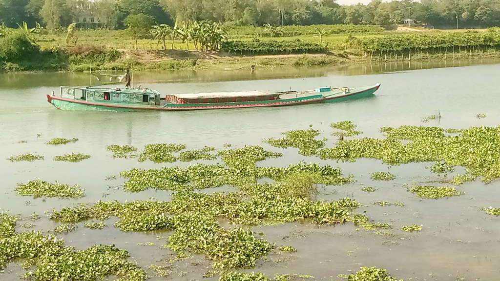 আড়িয়াল খাঁ নদের প্রবহমান পানিতে ভাসছে কচুরিপানা। এর মাঝখান দিয়ে জল কেটে গন্তব্যে যাচ্ছে বালুবাহী ট্রলার। রায়পুরার মরজাল এলাকা থেকে তোলা, নরসিংদী, ২৭ নভেম্বর ২০২৪ । ছবি: হারুনূর রশিদ