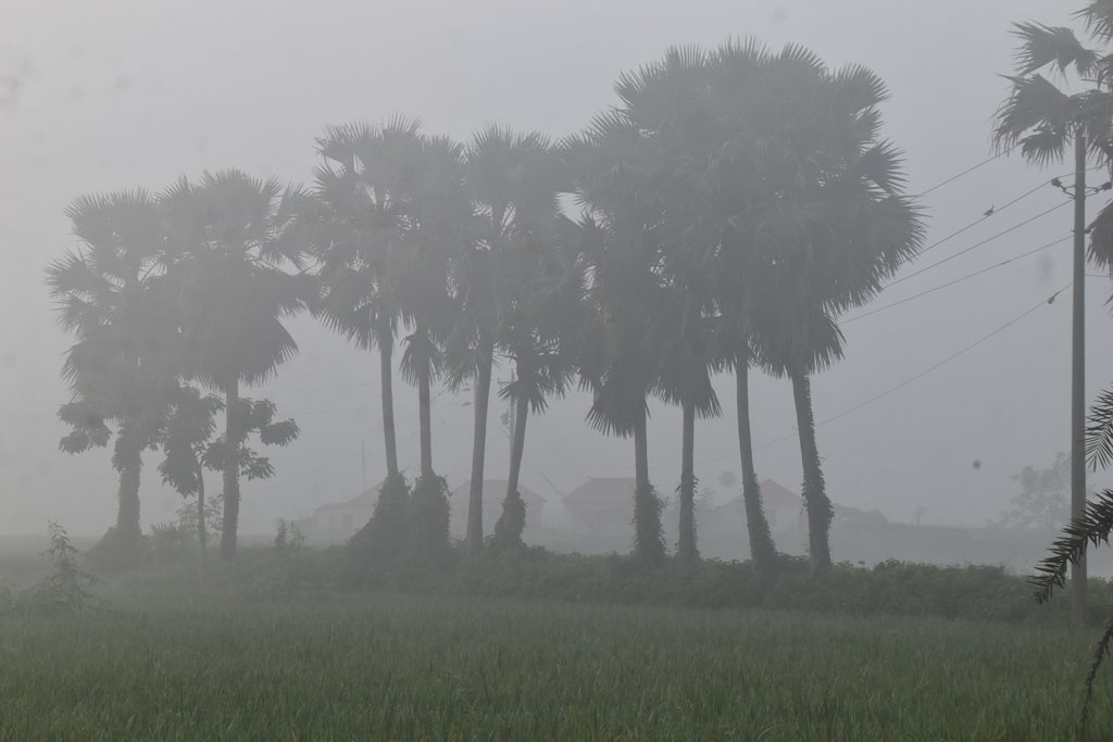 সকালের কুয়াশায় ঢেকে গেছে গাছপালা, ঘর-বাড়ি সবকিছু। বরেন্দ্র অঞ্চলে এ যেন শীতের আগমনী সংকেত। গোদাগাড়ী উপজেলার রিশিকুল ইউনিয়নের চব্বিশ নগর এলাকা থেকে তোলা, রাজশাহী, ৩১ অক্টোবর ২০২৪। ছবি: মিলন শেখ