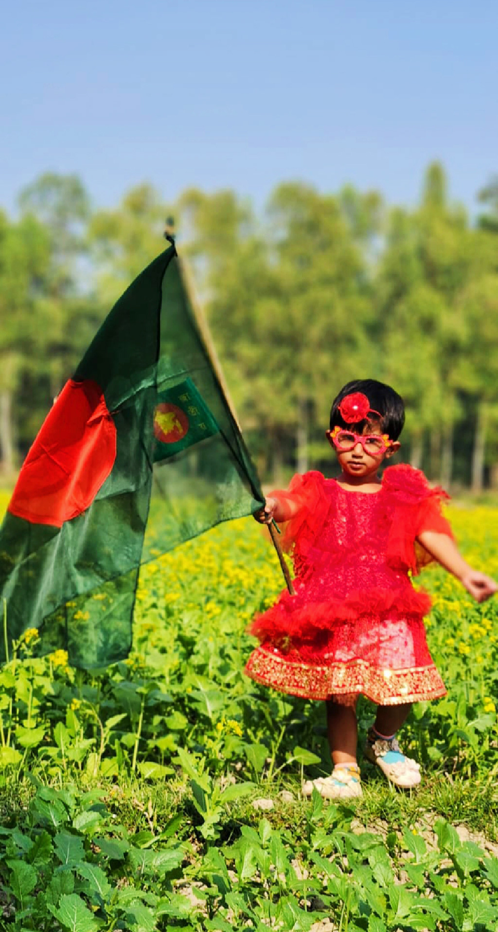 মহান বিজয় দিবস উপলক্ষে শিশুদের বায়না থাকে পতাকা কেনার। অভিভাবকদের কিনে দেওয়া পতাকা হাতে ফসলের মাঠে তারা মেতে উঠেছে দুরন্তপনায়। ঢাকা-আরিচা মহাসড়ক সংলগ্ন ঘিওর উপজেলার বানিয়াজুরী ইউনিয়নের রাথুরা গ্রামের ফসলের মাঠ থেকে তোলা, মানিকগঞ্জ, ১৬ ডিসেম্বর ২০২৪। ছবি: আব্দুর রাজ্জাক