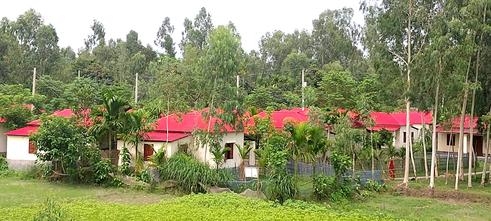 ভূমিহীন ও গৃহহীনমুক্ত দেশের আরও ৭০ উপজেলা