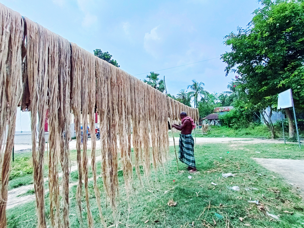 পাট জাগ দেওয়ার পর ধুয়ে আঁশ ছাড়ানো হয়েছে। এখন সেই আঁশ শুকানোর কাজে ব্যস্ত সময় পার করছেন কৃষক। ঘিওর উপজেলার করজনা গ্রাম, মানিকগঞ্জ, ১০ সেপ্টেম্বর। ছবি: আব্দুর রাজ্জাক।