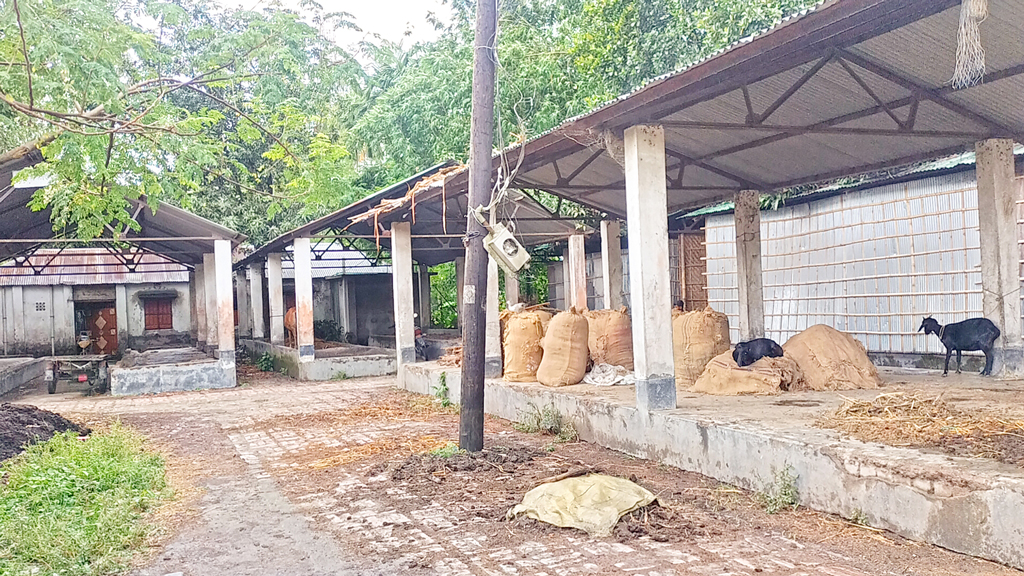 ১৬ বছরেও চালু হয়নি ৬২ কোটির ৩২ বাজার