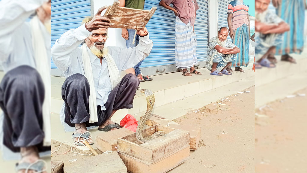 ঝাড়ফুঁক নয়, সাপুড়ের ও ভরসা ভ্যাকসিনে