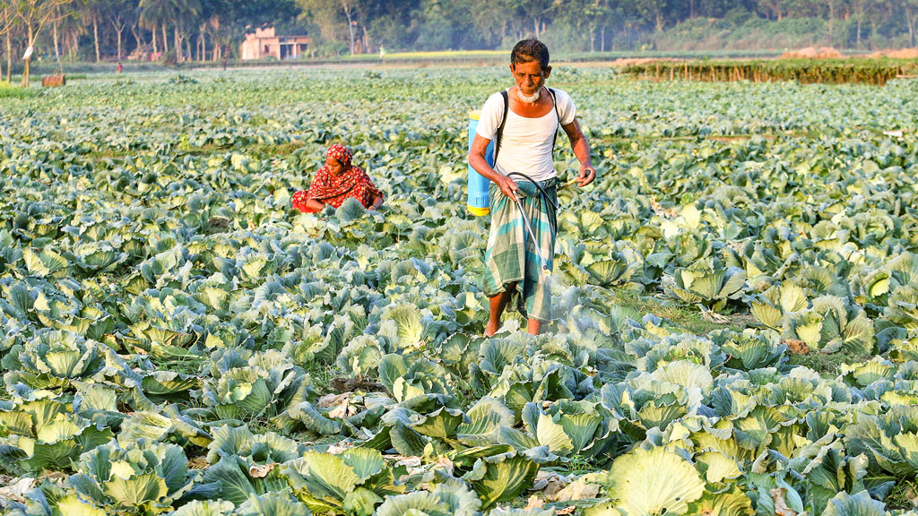 কম ভর্তুকি কৃষিতে প্রভাব ফেলবে