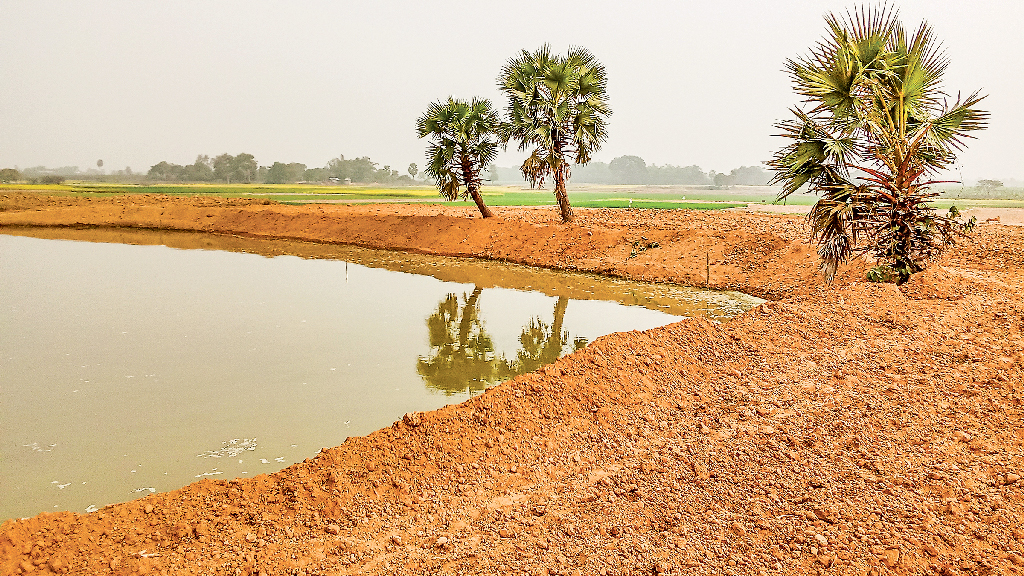 দুটি খাসপুকুর গিলছেন তিন ভাই