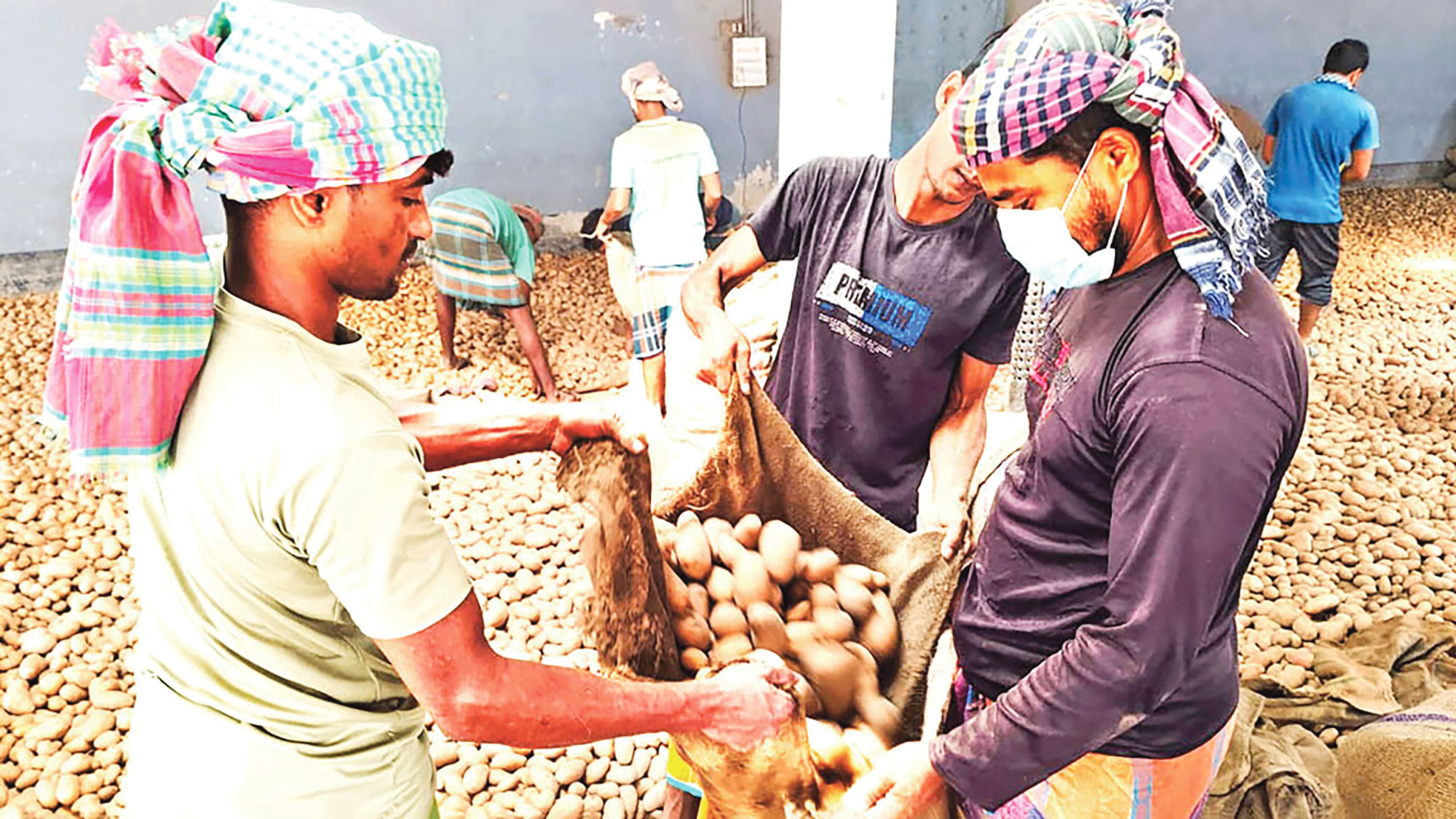 প্রক্রিয়াজাত-রপ্তানিতে কাঠামোগত সংকট: কৃষি-শিল্প সংযোগে বড় ঘাটতি