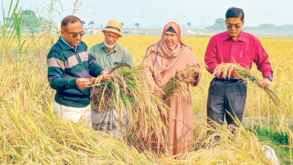 এবার ‘সবচেয়ে চিকন’ ধান উদ্ভাবন করলেন নূর মোহাম্মদ