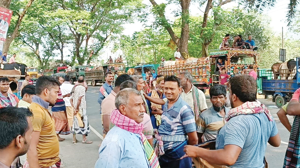 ইজারাদারদের টানাটানিতে বিপাকে পশু বিক্রেতারা