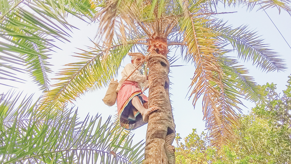 ২০০ কোটি টাকার গুড়ের বাজার