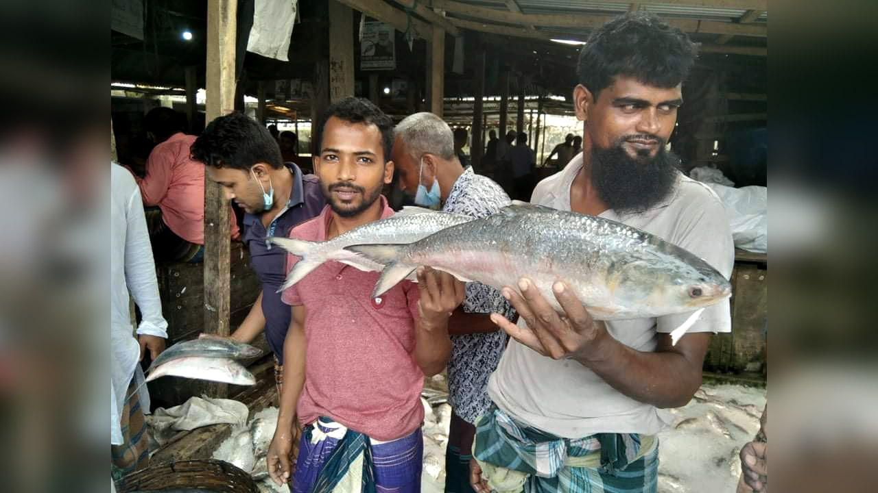 একবার জাল ফেলেই মিলল ৮৭ মণ ইলিশ, বিক্রি অর্ধকোটি টাকা