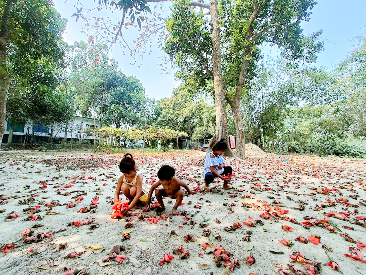 দিনের ছবি (২৩ ফেব্রুয়ারি, ২০২৩)