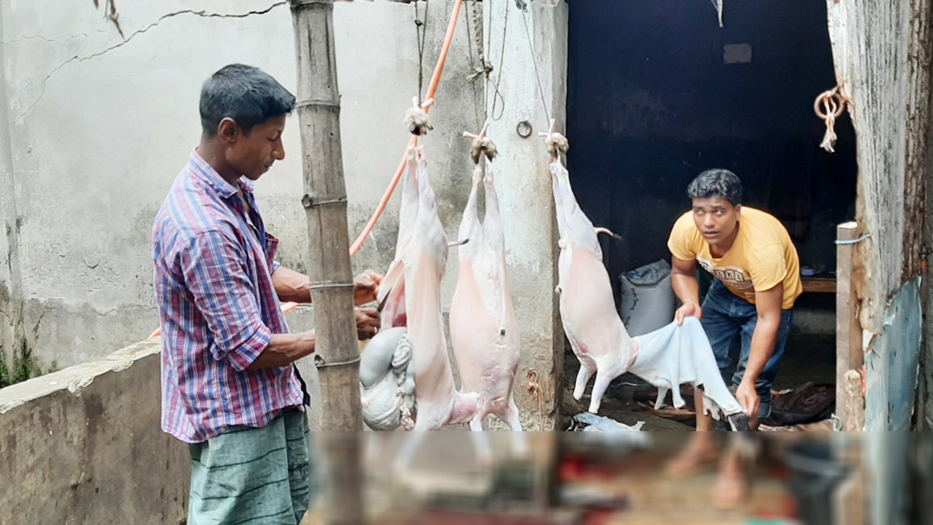 পরীক্ষা ছাড়াই পশু জবাই