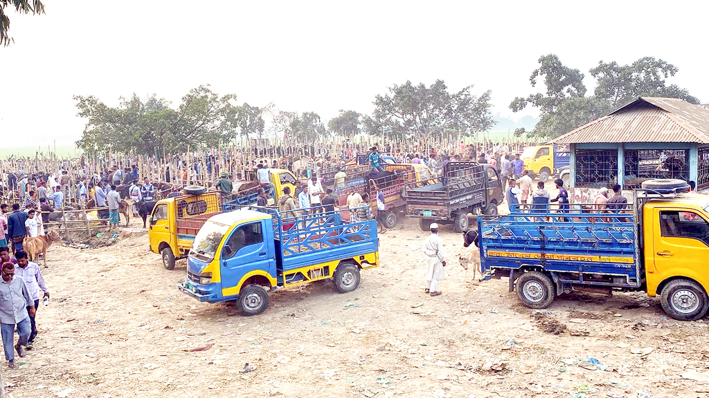 ডিসির নির্দেশ উপেক্ষা করে বসছে পশুর হাট