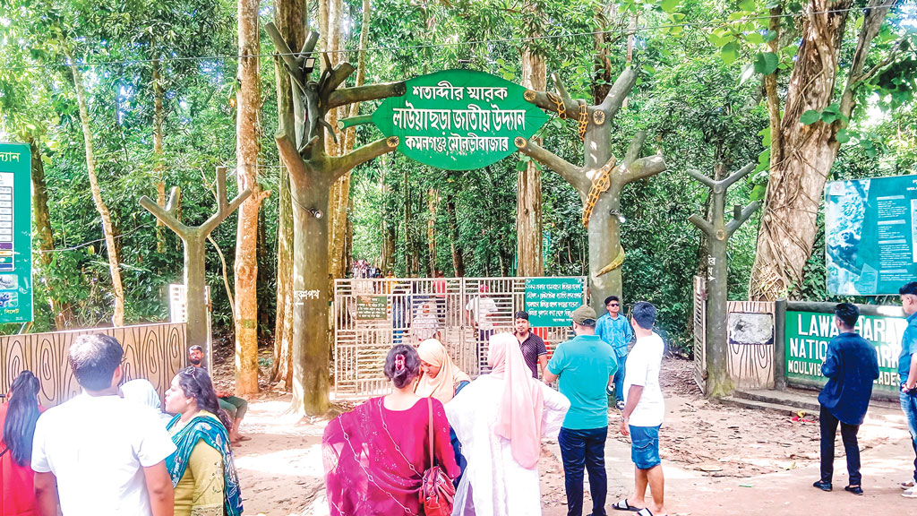 লাউয়াছড়ায় প্রাণীদের অবাধ বিচরণ কমেছে