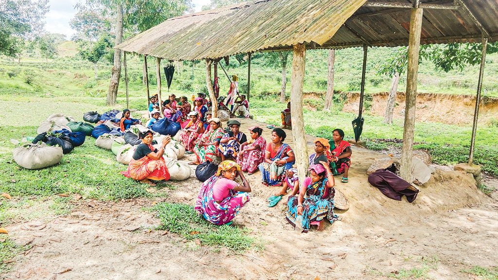 প্রচারণা শুধু শহরেই, গ্রামের ভোটার জানে না গণভোট কী
