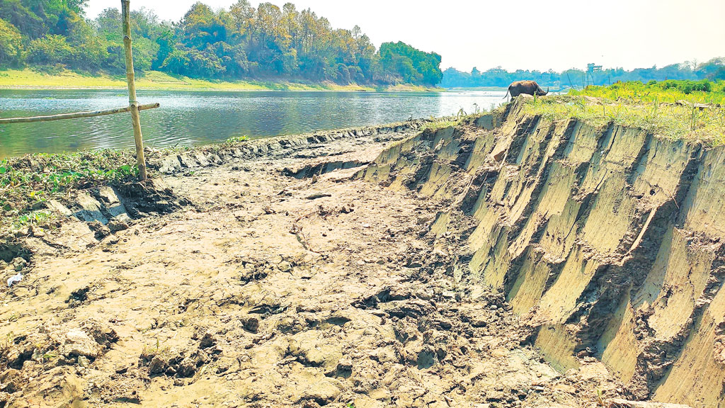 নদীতীরের মাটি কেটে ইটভাটায় বিক্রি