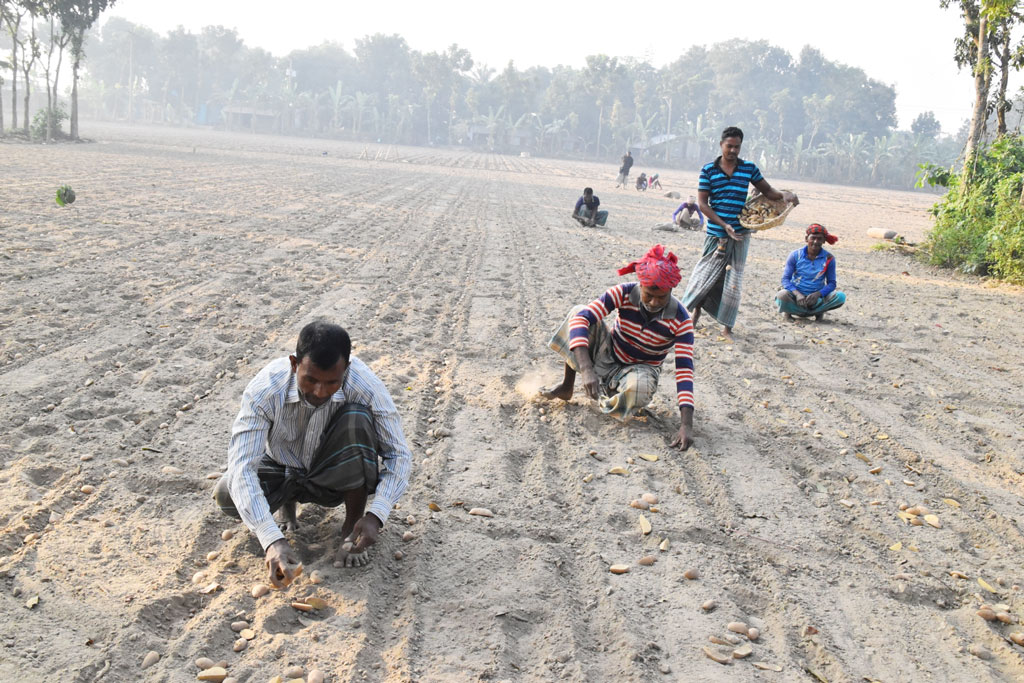 দিনের ছবি (২৮ নভেম্বর, ২০২২)