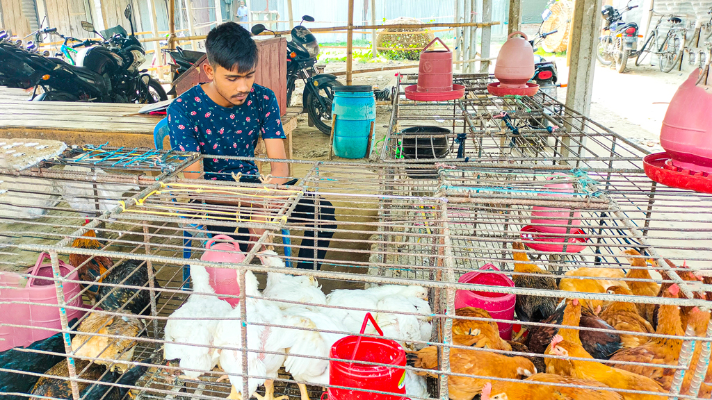 ‘মাঝেমধ্যে বয়লার মুরগি খাচনো, এখন মোকত সেটাও চইরবার নায়’