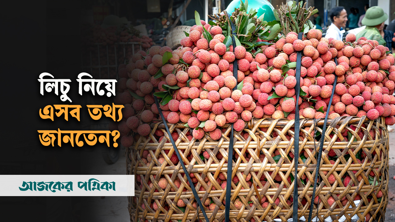 কেন লিচু খাবেন ও খাবেন না