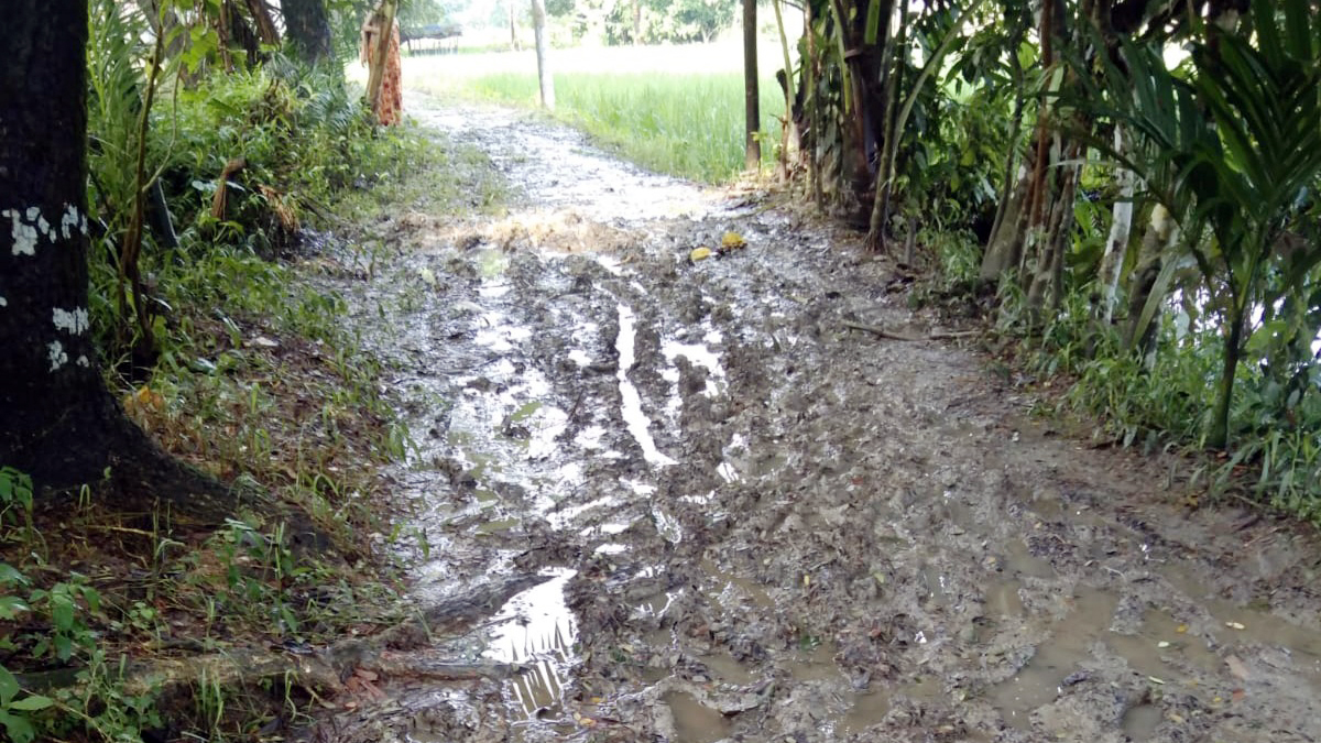 এক কাঁচা সড়কে ভোগান্তি  ৫ গ্রামের বাসিন্দাদের