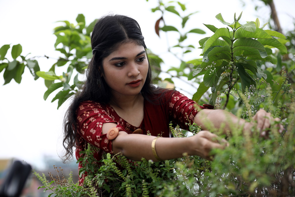 শীতের ছাদবাগান