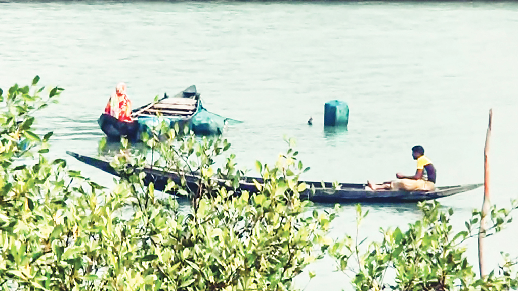 বাগদার বিকল্প সম্ভাবনা সফটশেল কাঁকড়ায়