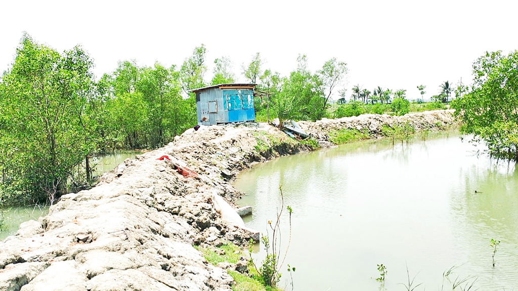 বনের জমি দখল করে অর্ধশত ঘের