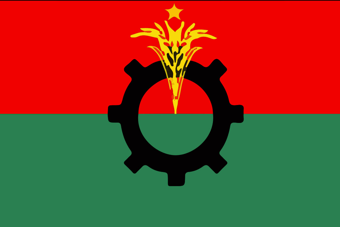 ভবিষ্যতের আশায় বিএনপির ছায়ায় তৎপর তারা