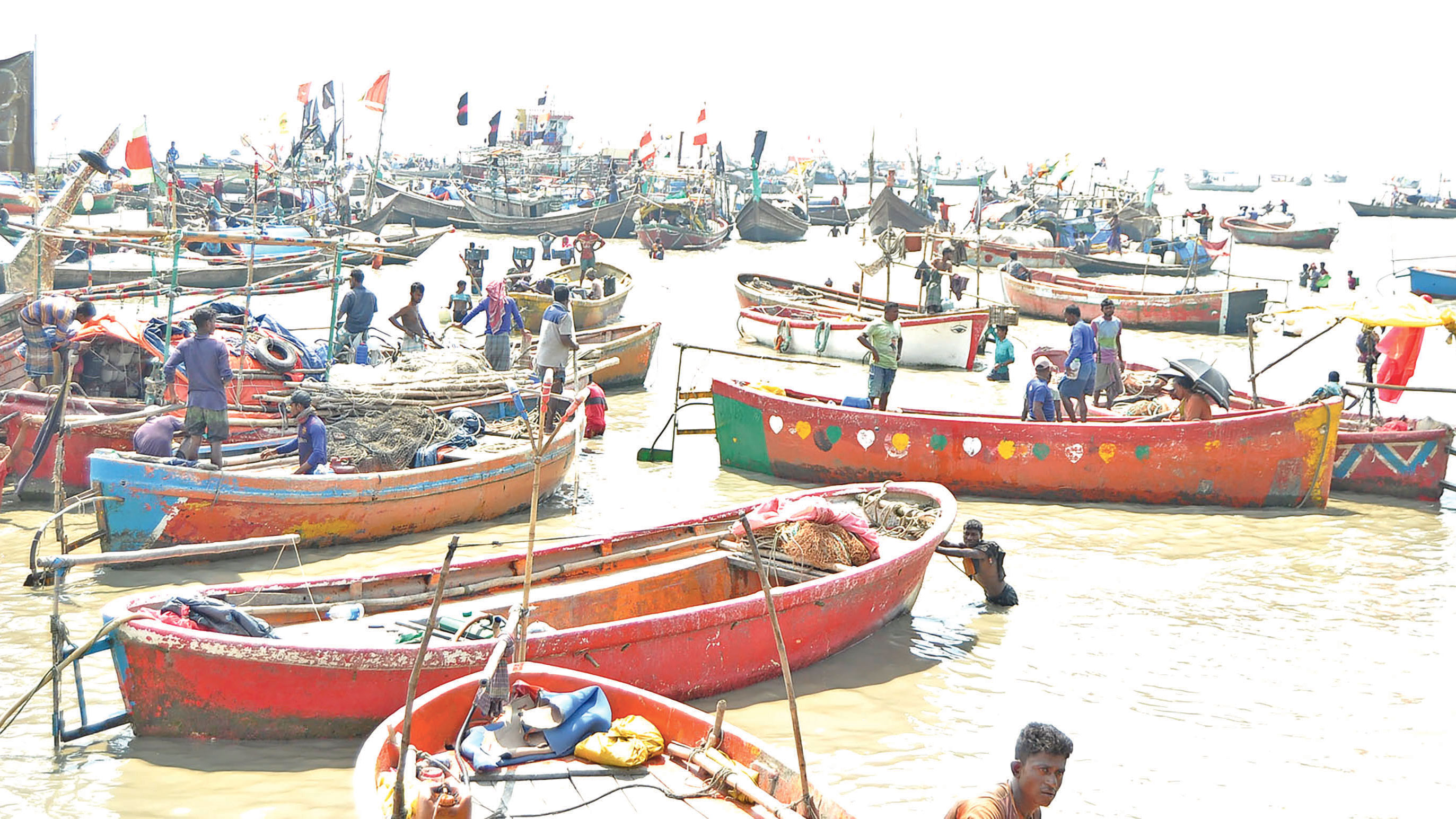 সাগরপাড়ে উৎসব, ইলিশের কেজি ২০০ টাকা