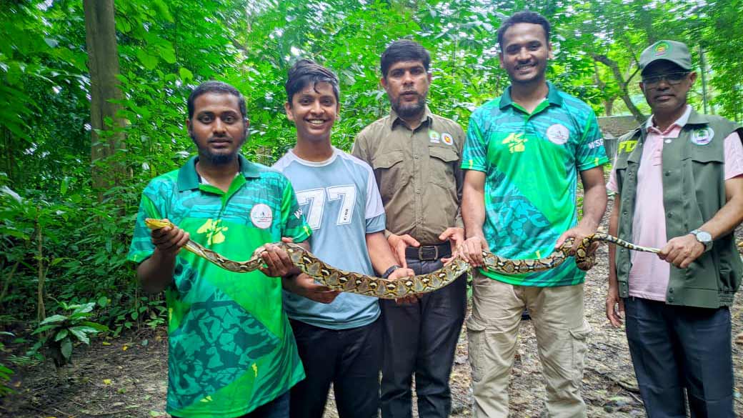 কাপ্তাইয়ে উদ্ধারের পর বনে ছাড়া হলো ৭ কেজি ওজনের অজগর 