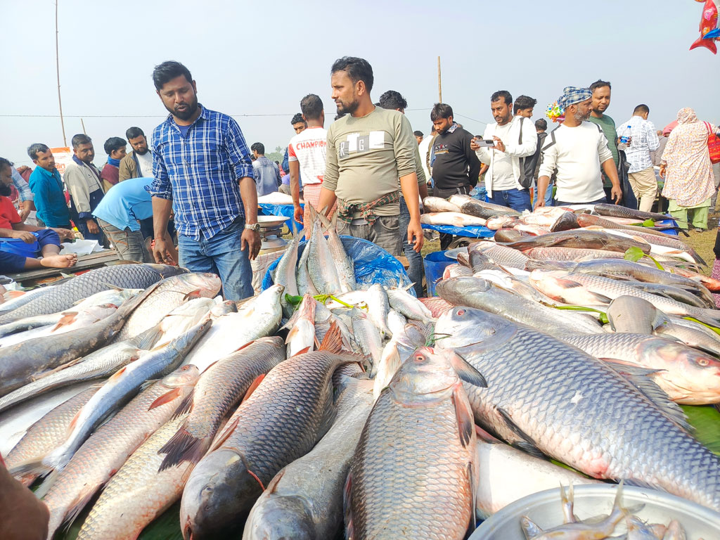 কালীগঞ্জে বিনিরাইলের মেলায় বড় মাছ কেনার ধুম 