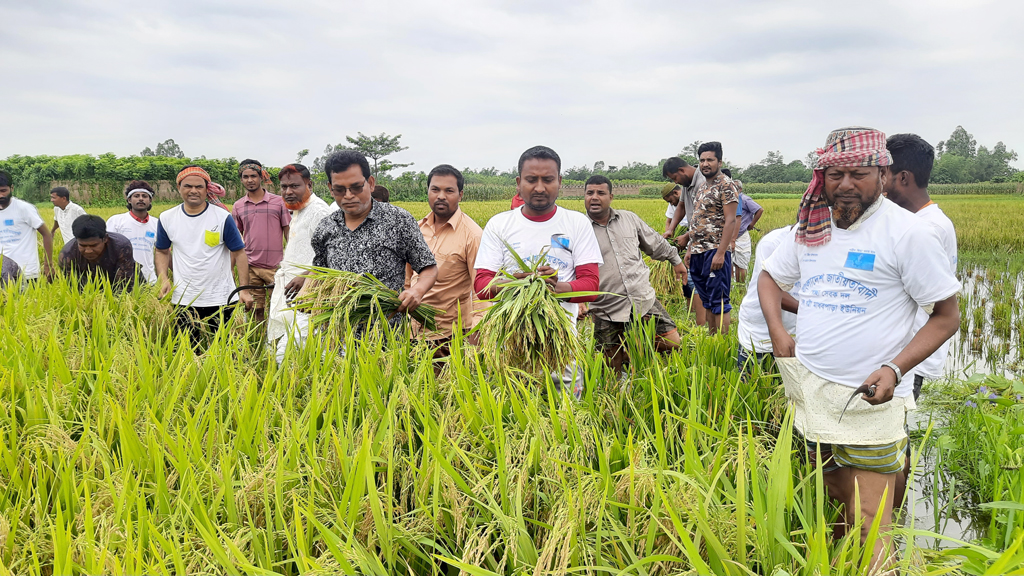 ভরা মৌসুমেও দাম বাড়তি