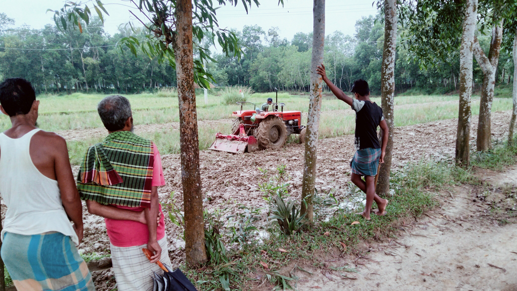 বৃষ্টির দেখা নেই, আমন  চাষ ব্যাহতের আশঙ্কা