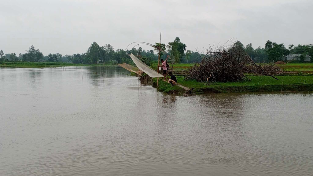 উজানে ভারী বৃষ্টি, কুড়িগ্রামে বন্যার শঙ্কা