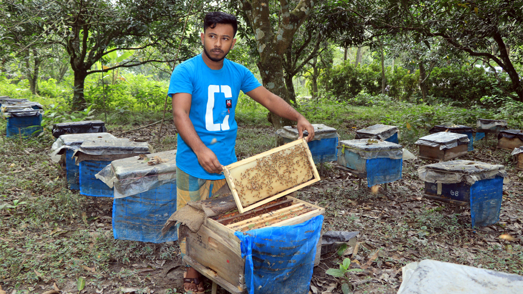 তিন লক্ষাধিক টাকা আয়