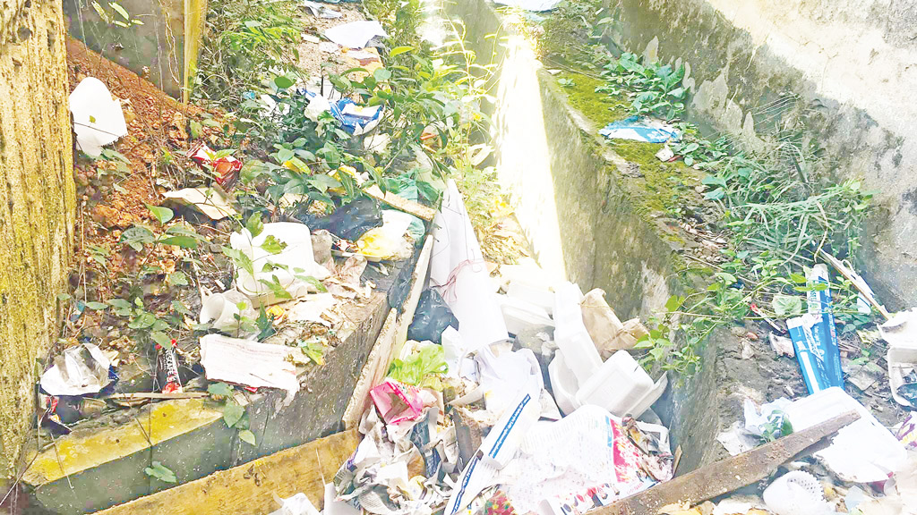 ক্যাম্পাসে যত্রতত্র ময়লা অসচেতন শিক্ষার্থীরা