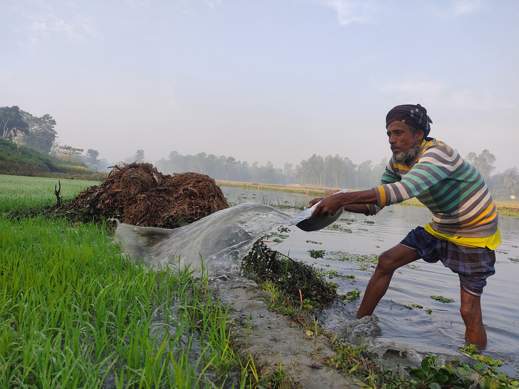 দিনের ছবি (০৯ ডিসেম্বর, ২০২২)