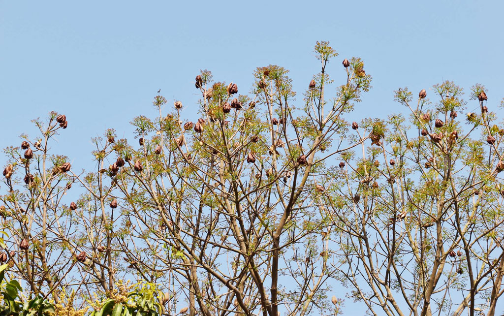 দিনের ছবি (৬ মার্চ, ২০২৩) 