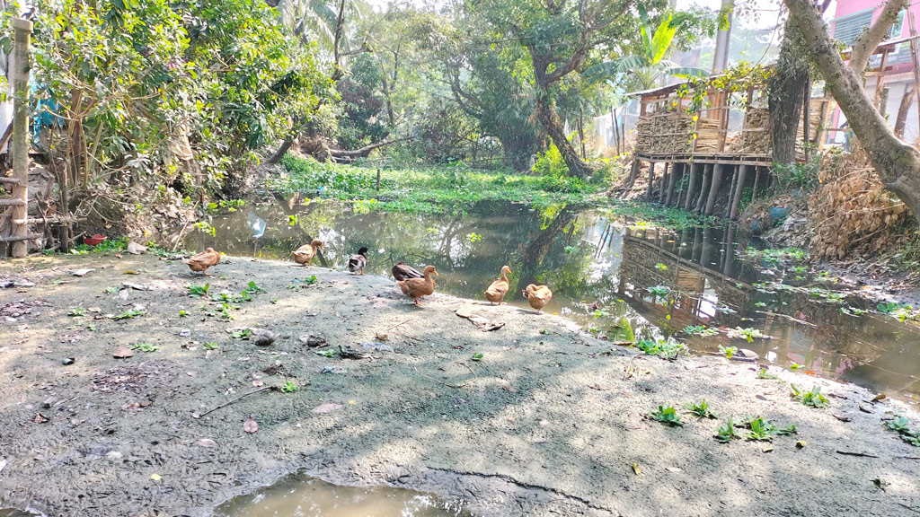 বিসিকের বালুতে ভরাট হচ্ছে লাকুটিয়া খাল, জলাবদ্ধতার শঙ্কা