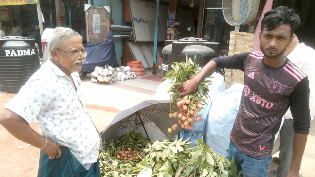 লাভের আশায় ফুলবাড়ীতে বিক্রি হচ্ছে অপরিপক্ক লিচু, স্বাস্থ্যঝুঁকি