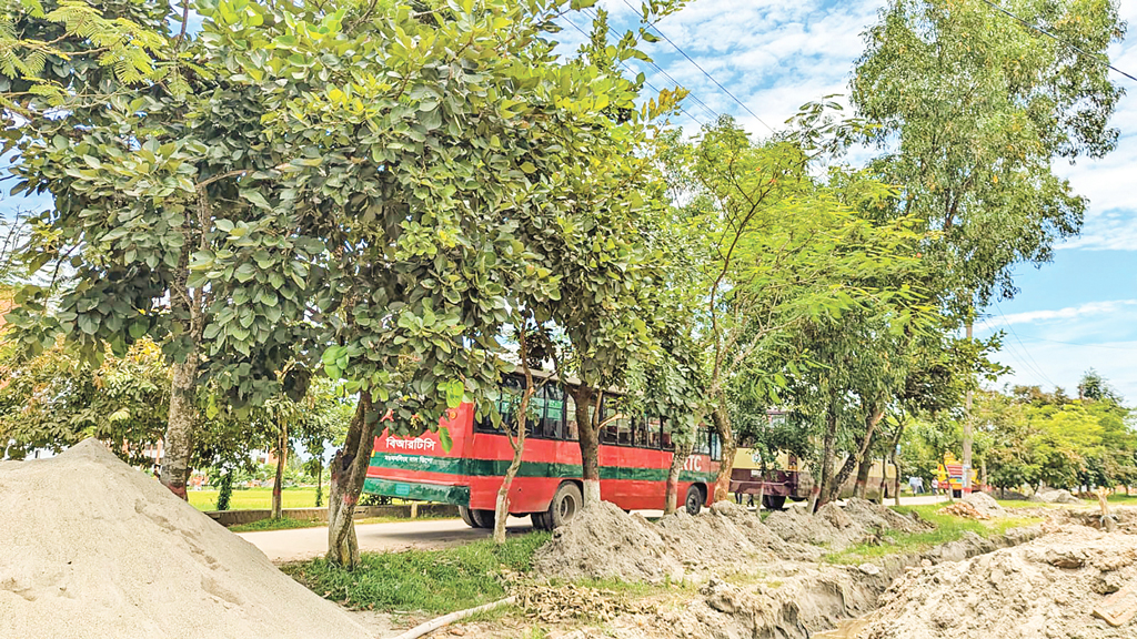 গাছ কেটে কিসের উন্নয়ন