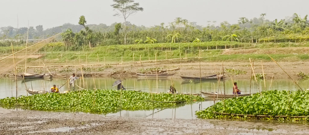 মাছ শিকার করা কারও পেশা, আবার কারও নেশা। বড়শি নিয়ে নৌকায় কিংবা ভেলায় চড়ে মাছ ধরায় ব্যস্ত তারা। রায়পুরার উত্তর বাখর নগরের আড়িয়াল খাঁ নদ থেকে তোলা, নরসিংদী, ২৫ নভেম্বর ২০২৪। ছবি: হারুনূর রশিদ