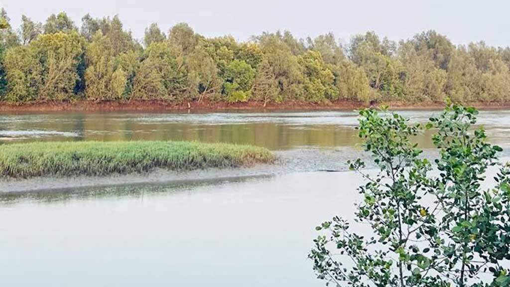 উখিয়া সীমান্তে মাছ ধরতে গিয়ে স্থলমাইন বিস্ফোরণে বাংলাদেশি নাগরিক আহত