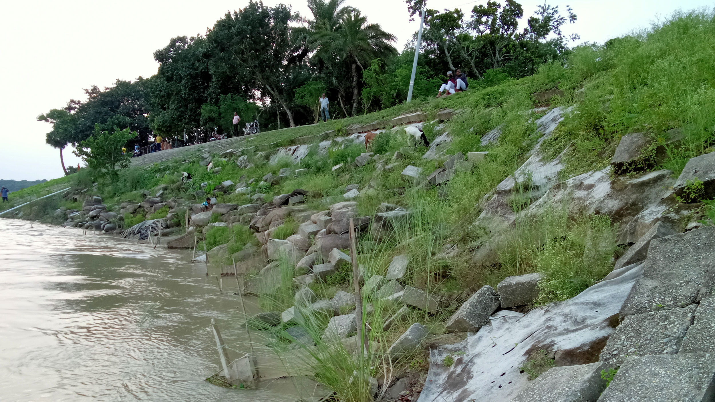 লালপুরে পদ্মা নদীর তীর রক্ষা বাঁধের ব্লক ধসে ভাঙন আতঙ্ক